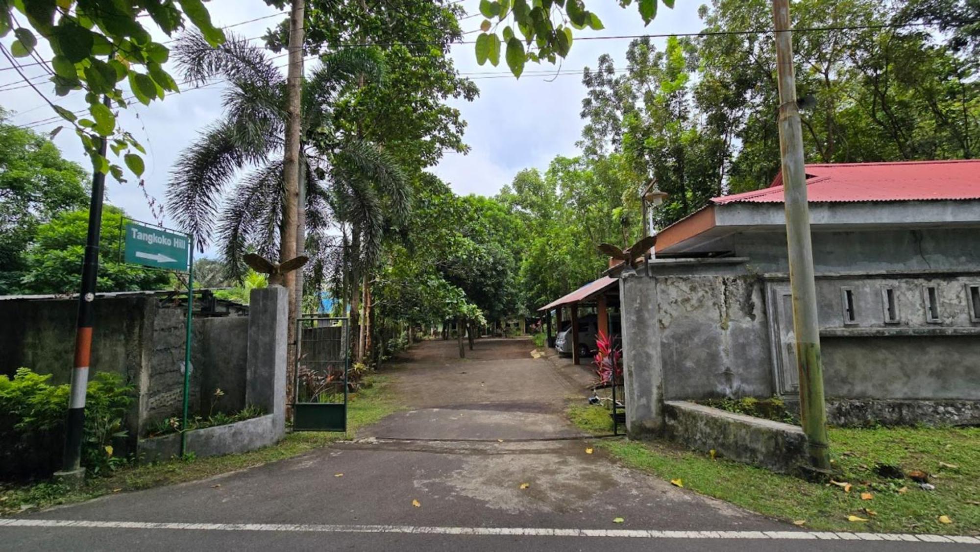 Tangkoko Macaca 호텔 Rinondoran 외부 사진