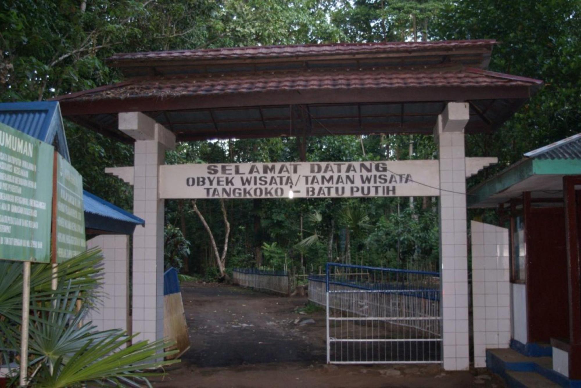 Tangkoko Macaca 호텔 Rinondoran 외부 사진