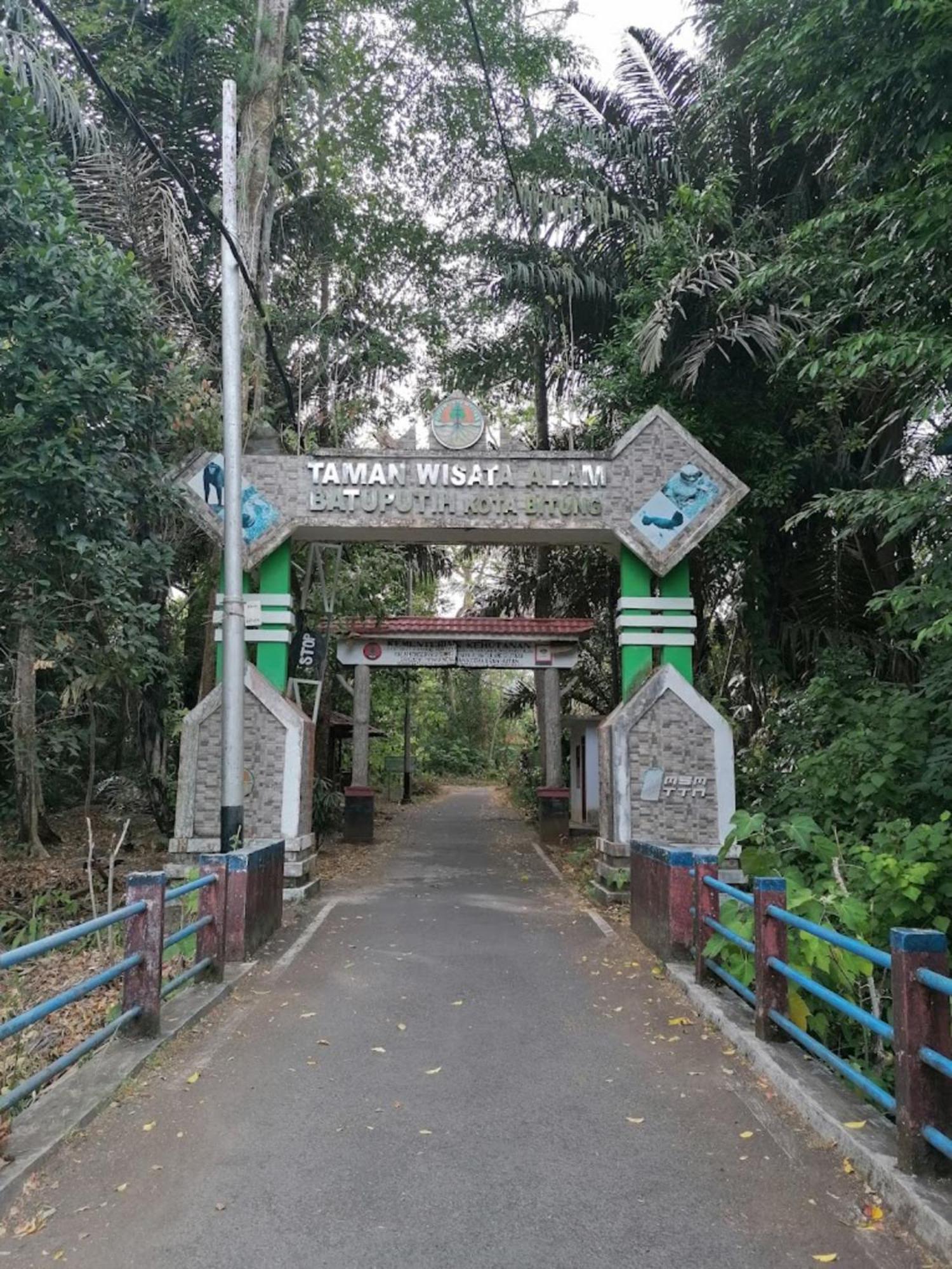 Tangkoko Macaca 호텔 Rinondoran 외부 사진